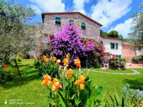 IL CASALE DEL MAGRA Ameglia